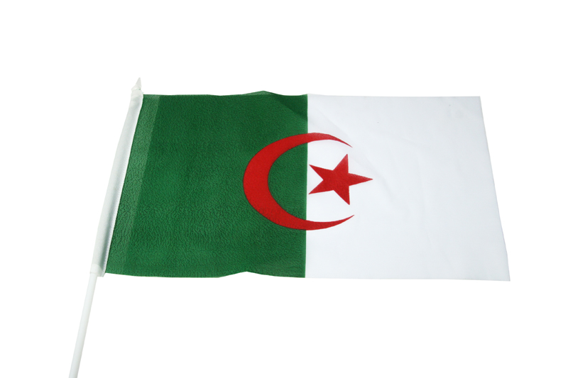 Stockfahne 30 x 40cm Algerien